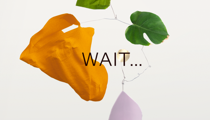 "WAIT..." ColorTrends SS2022