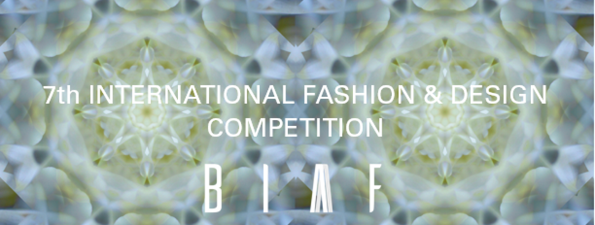 VII CONCURSO INTERNACIONAL BIAAF