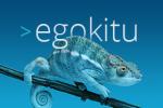 KSI- Egokitu-2020 KSI- Egokitu -2020
